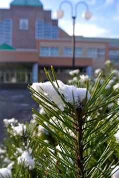 雪がふりました.jpg