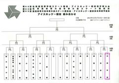 アイスホッケー全道大会.jpg