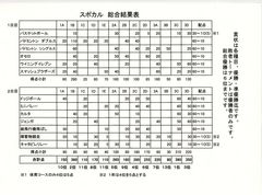 Ｈ２５スポーツ＆カルチャーフェスティバル結果.jpg