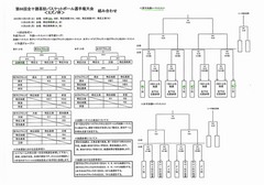 バスケットミズノ杯２０１５.jpg